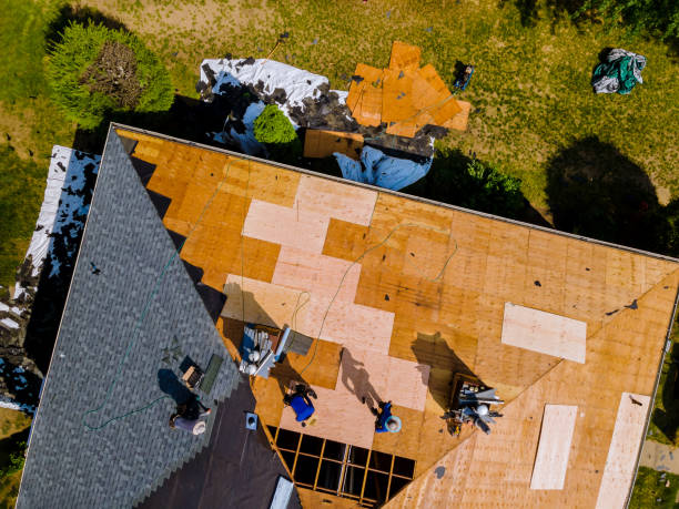 Best Roof Gutter Cleaning  in Ault, CO